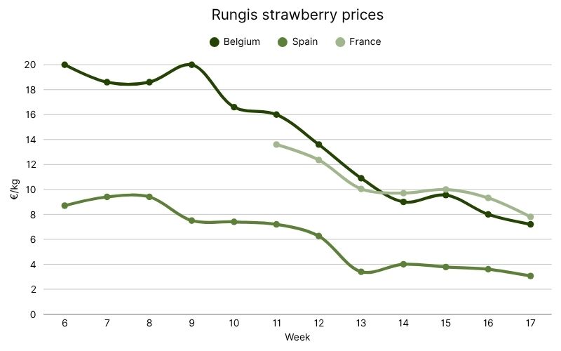 French Rungis wholesale strawberry prices in Rungis.jpg